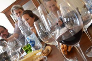 reasons to visit Novello wine cantine